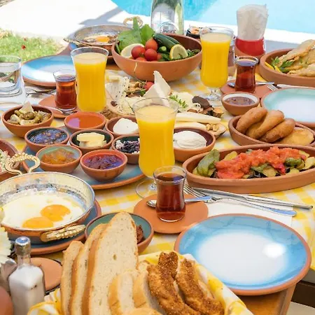 Sakiz Kizi Butik Otel Alacati 호텔 *